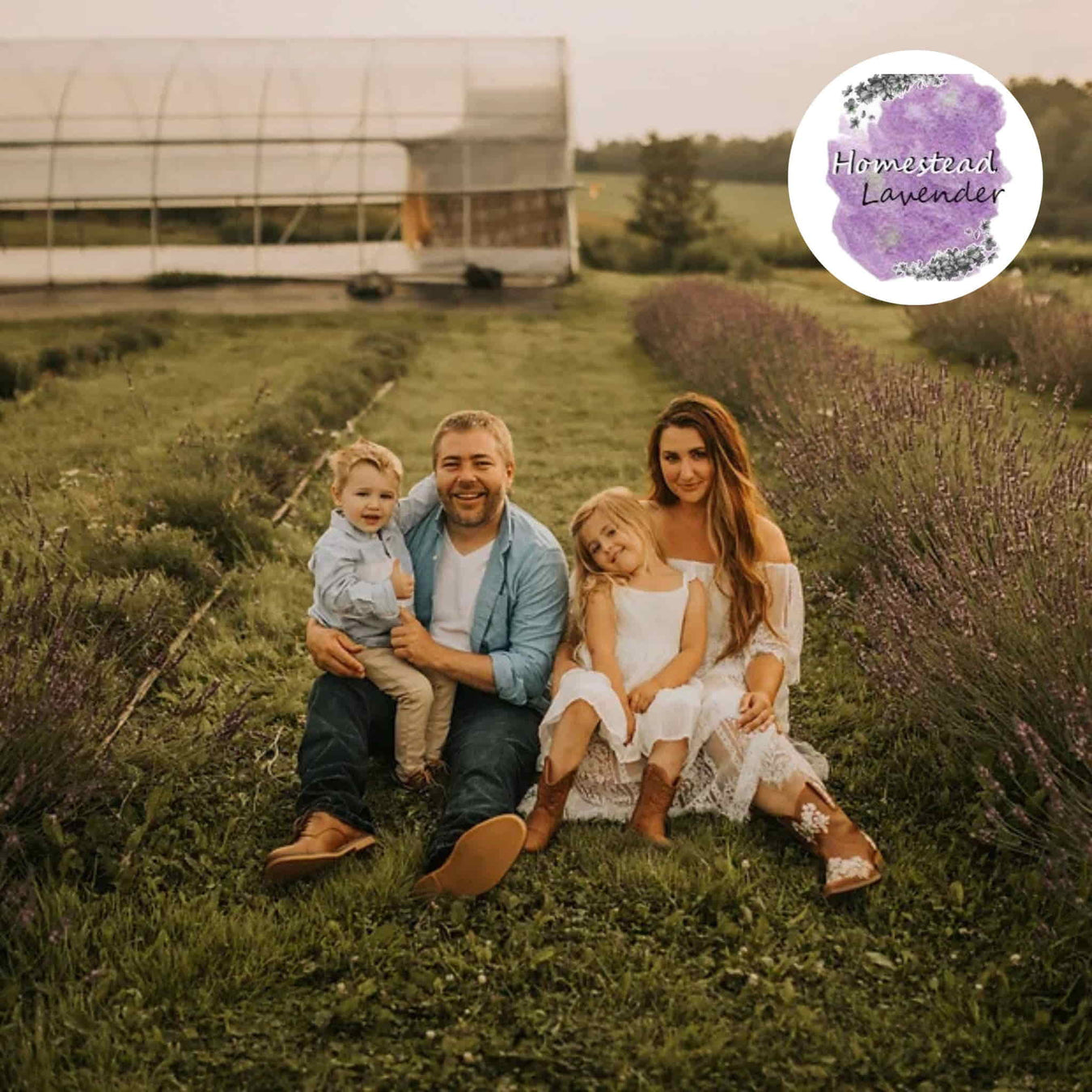 Homestead Lavender