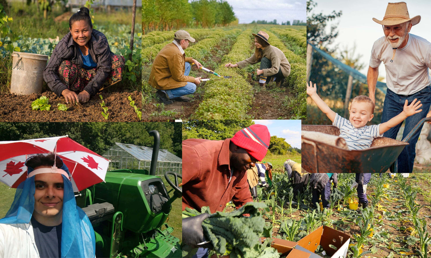 Join us if you identify as: