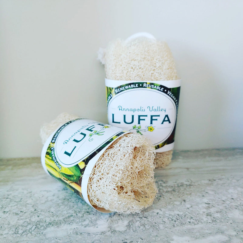 Luffa Body Sponge