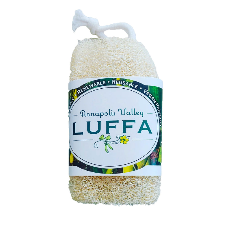 Luffa Body Sponge